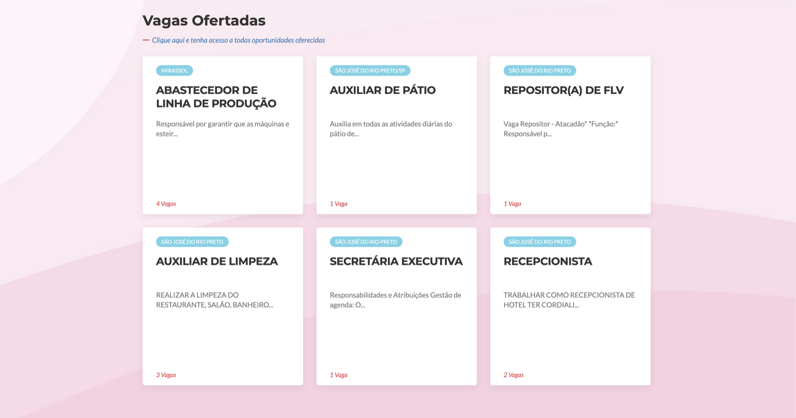 Tela do Balcão de Empregos — 1